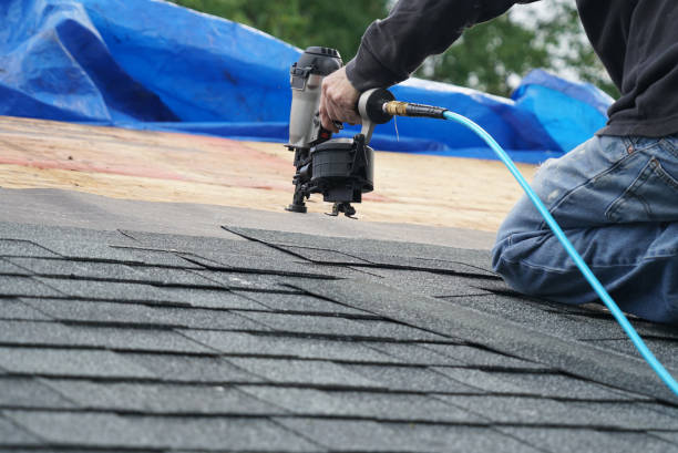 Best Gutter Installation and Roofing  in Balfour, NC