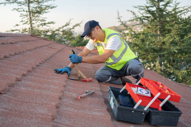 Best Metal Roofing Contractor  in Balfour, NC